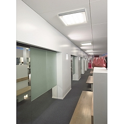 T5-Grill Uni Wand-/Deckenleuchte silber-grau 