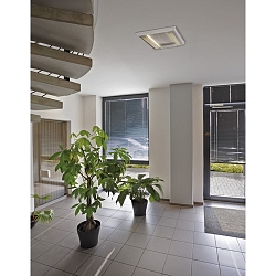 TC Indi 255 Rasterleuchte wei� 