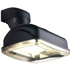 Lux 49