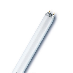 25 St�ck RADIUM Spectralux� Plus T8, 3-Banden-Leuchtstofflampe LF840 , 26 mm �, Sockel G13