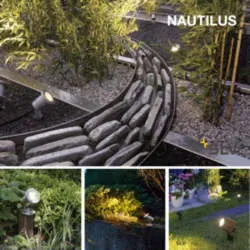 Nautilus