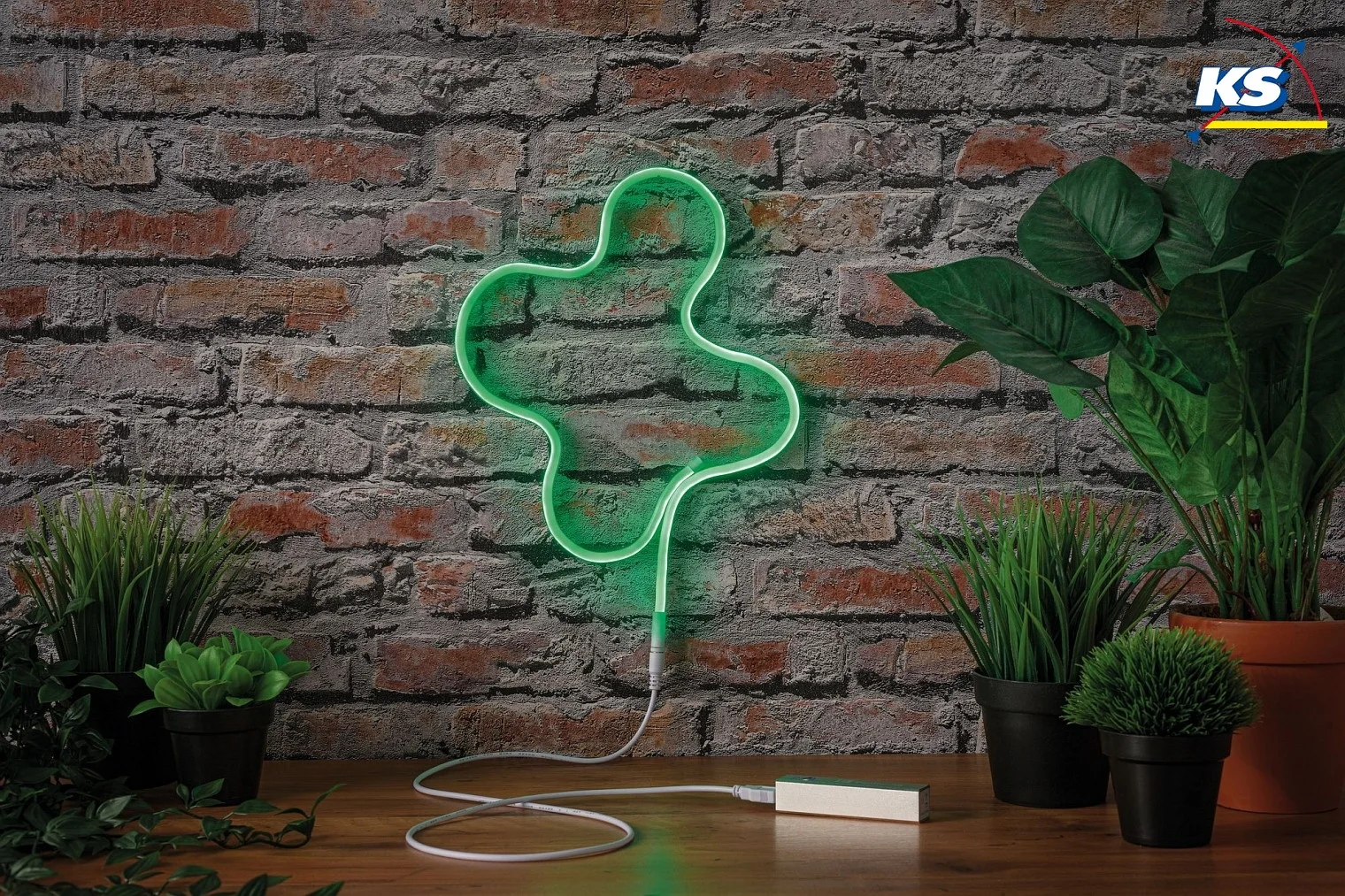 Paulmann NEON COLORFLEX LED-Lichtschlauch, 100cm, USB-5V DC, 4.5W 10lm, Grün Paulmann NEON COLORFLEX LED-Lichtschlauch, 100cm, USB-5V DC, 4.5W 10lm, Grün