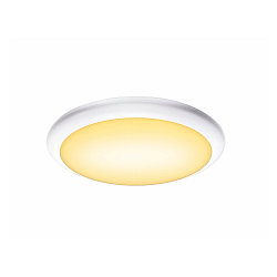 LED Au�enleuchte RUBA 27 CW LED Wand-/Deckenleuchte, CCT switch, 3000/4000K, 985/1100lm, IP65, wei�