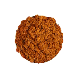 Deko Scheibe f�r LED Wandleuchte CHAMALEON 16/3975, Moos orange