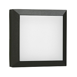Outdoor LED Wand- und Deckenleuchte Typ Nr. 6562, IP54 IK08, 32 x 32cm, 20W 3000K 2000lm, Alu-Guss / Opal, dimmbar, Schwarz matt