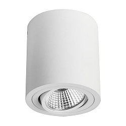 Surface LED spot, IP20, round, height 9.5cm / � 8.5cm, 230V AC, 6W 3000K 640lm 38�, swivelling 25�