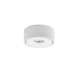 downlight IP20, white dimmable