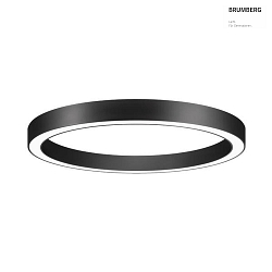 ceiling luminaire BIRO CIRCLE  100/10CM DALI controllable, tunable white, direct LED IP20, black dimmable