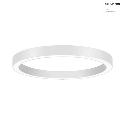 wall and ceiling luminaire BIRO CIRCLE round LED IP20, white dimmable