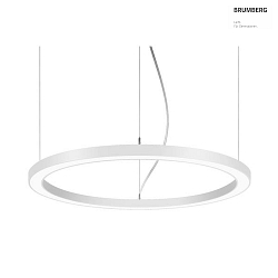 LED Pendel-Ringleuchte BIRO CIRCLE, IP20,  180 cm, Hhe 5 cm, 120W, 3000K, 12293lm, dimmbar Casambi, wei
