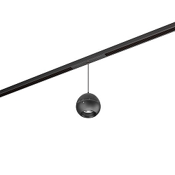 LED Schienen-Pendelleuchte PEPA BALL, 48V DC, 10W 3000K, fokussierbar 15-55�, CRi >90, UGR<13-16, DALI-2 dimmbar, schwarz