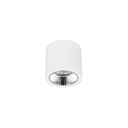 downlight APOLLO MIDI round, switchable, faceted IP20, powder coated, white 