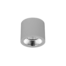 downlight APOLLO MAXI round, switchable, faceted IP20, powder coated, silver 