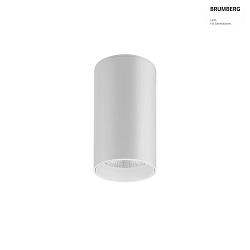 surface luminaire TRAXX MAXI round, direct IP20, white dimmable