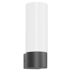 Au�enwandleuchte AQUA WALL, E27, IP44, Edelstahl / Opalglas, anthrazit