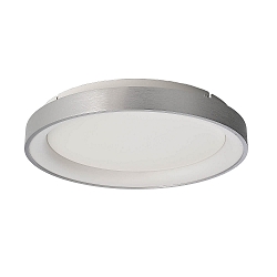 wall and ceiling luminaire MEROPE 40 IP20, silver