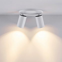 ceiling luminaire CAN TILT ROUND � 20CM 2 flames, round, cardanic swivelling GU10 IP20, white