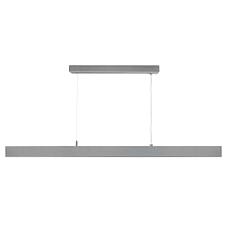 Pendant luminaire D PROFESSION DOWN, power supply unit Dali, 200-240V AC/50-60Hz, 28W, silver