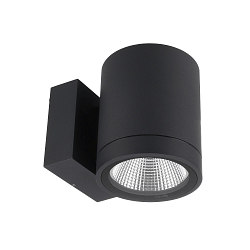 facade spotlight SHORELINE PRO ROUND 100 DOWN 1 flame, round, CCT Switch IP65, dark grey dimmable