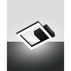 wall and ceiling luminaire BARD IP20
