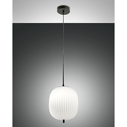 Pendant luminaire DOMIZIA 25, Smartluce compatible, E27, IP20, black