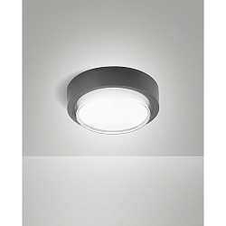 LED Au�endeckenleuchte OWEN, 12W, 3000K, 1620lm, IK08, IP65, dunkelgrau