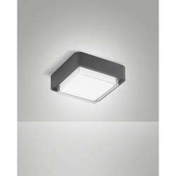 LED Au�endeckenleuchte DIUK, 12W, 3000K, 1620lm, IK08, IP65, dunkelgrau