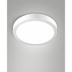 LED Au�endeckenleuchte NICOLE CCT, 18W, 2700/3000/4000K, 2295lm, IK07,IP54, wei�