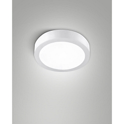 LED Au�endeckenleuchte NICOLE CCT, 14W, 2700/3000/4000K, 1785lm, IK07, IP54, wei�