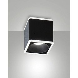 surface luminaire COIBA square IP20, satined, black