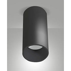 downlight RAY cylindrical, rigid, surface-mounted version IP44, black dimmable
