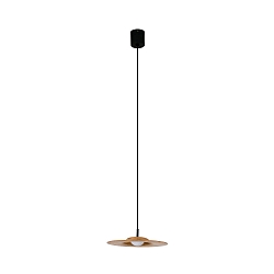 LED Pendelleuchte COSMOS 5W, 3000K, IP20 messing