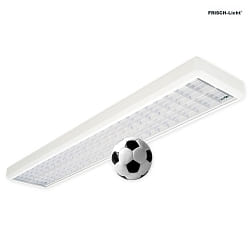 grid luminaire DALI controllable, ball proof IP20, white dimmable