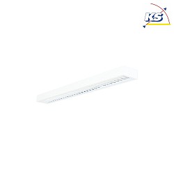 LED Surfaced /Pendant grid luminaire, direct, 33W, 3000K, 4300lm, IP20, UGR < 19, DALI dimmable, white