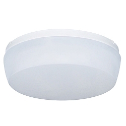 wall and ceiling luminaire �30 round IP54, white dimmable