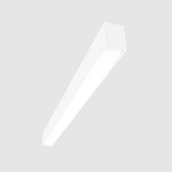 light bar MICROPAL�, UGR<19 / 847MM / 830 surface-mounted version, DALI controllable, direct IP40, white 