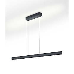 Pendant luminaire RUNA-132, black