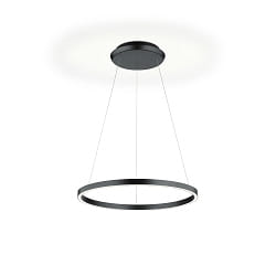 pendant luminaire SVEA-L60 up / down, adjustable, controllable with gestures IP20, black