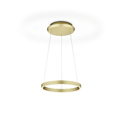 pendant luminaire SVEA-L40 up / down, adjustable, controllable with gestures IP20, gold