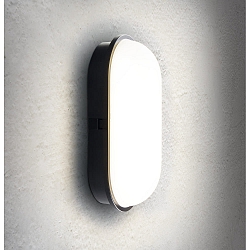 Outdoor LED Wand- / Deckenleuchte TOLEDO, IP65, 20W 4000K 1600lm, schwarz