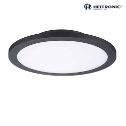 wall and ceiling luminaire TELLA round IP65, anthracite 