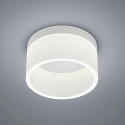 LED Bad-Deckenleuchte LIV 20, IP30, � 20cm, 17W 2900K 740lm, CRi >90, dimmbar, mattwei�