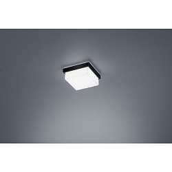 LED Bad-Deckenleuchte COSI 110, IP30, 7W 2900K 610lm, CRi >90, dimmbar, Glas satiniert + poliert, mattschwarz