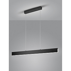 LED Pendelleuchte NEX, IP20, mattschwarz