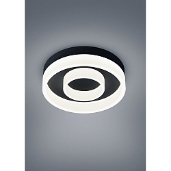 ceiling luminaire LIV 2-fold, ring shape IP30, black matt dimmable