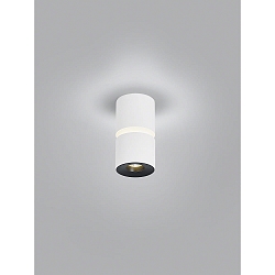 ceiling luminaire ROK 1 flame, direct / indirect, focusable IP20, white matt dimmable