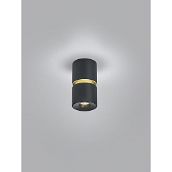 ceiling luminaire ROK 1 flame, direct / indirect, focusable IP20, gold matt, black matt dimmable