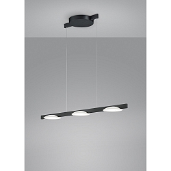 LED Pendelleuchte POLE, 3-flammig, IP20, mattschwarz eloxiert