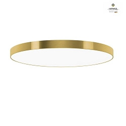 LED ceiling luminaire AURELIA X,  60cm, 30W 2700K 3500lm, dimmable, brushed gold / white