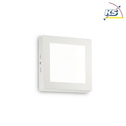 LED wall / ceiling luminaire UNIVERSAL SQUARE, 17 x 17cm, 12W 3000K 700lm, white